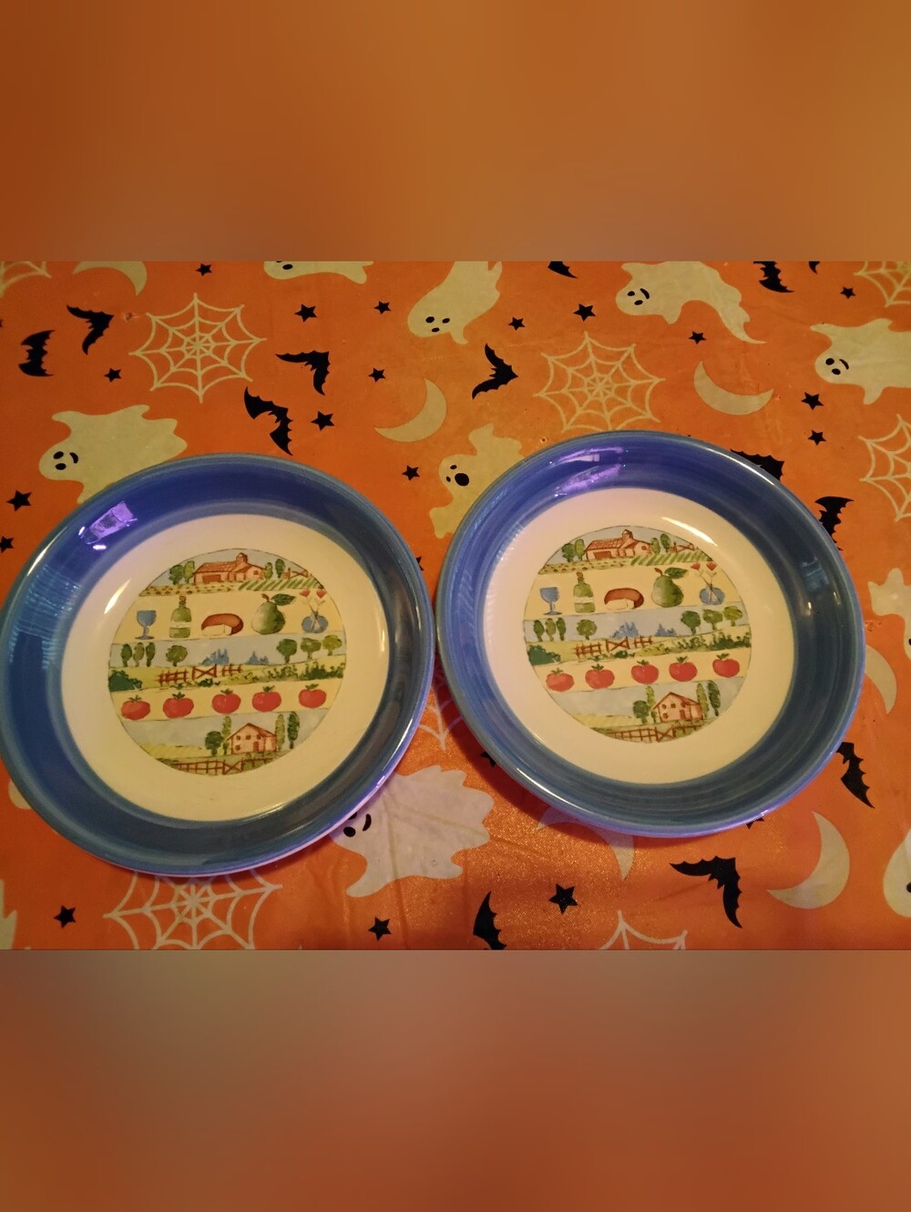 Italian Made Vintage Set of 2 Blue Rimmed Salad Plates with Farm Scene Design